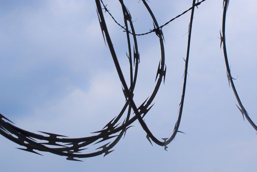 Photograph of a blue sky with a sharp barb wire silhouette