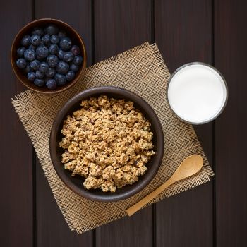 Dried berry and oatmeal breakfast cereal in rustic bowl with glass of milk and fresh blueberries, photographed overhead on dark wood with natural light 