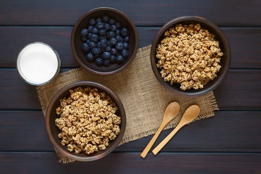 Dried berry and oatmeal breakfast cereal in rustic bowls with fresh blueberries and a glass of milk, photographed overhead on dark wood with natural light 