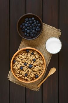 Dried berry and oatmeal breakfast cereal with fresh blueberries in wooden bowl with a glass of milk, photographed overhead on dark wood with natural light 