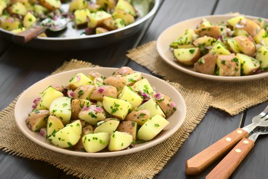 Salad of jacket potato, red onion and herbs served on plates, photographed on dark wood with natural light (Selective Focus, Focus one third into the first plate)