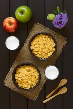 Crispy corn flakes breakfast cereal in rustic bowls with glasses of milk, apples, wooden spoons and flower on the side, photographed overhead on dark wood with natural light