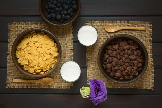 Crispy chocolate and simple corn flakes breakfast cereal in rustic bowls with fresh blueberries, glasses of milk and wooden spoons on the side, photographed overhead on dark wood with natural light
