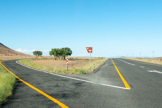 Shady resting place next to the N9 main road between Graaff Reinet and Middelburg in the Eastern Cape Province of South Africa