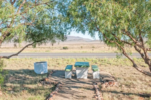 Shady resting place next to the N9 main road between Graaff Reinet and Middelburg in the Eastern Cape Province of South Africa