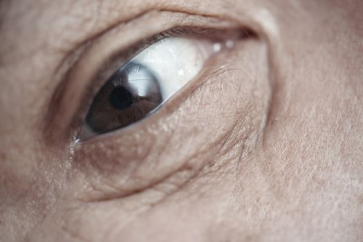 Close-up view on the eye of elderly human