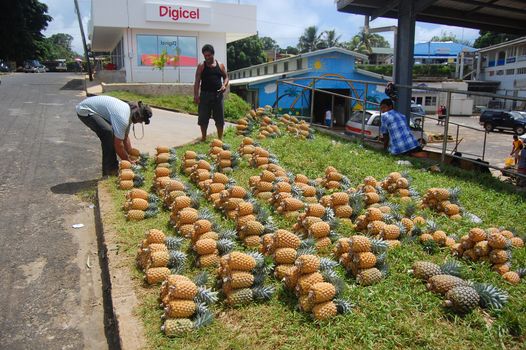 Men and pineapples at roadside near town market, South Pacific, Tonga
