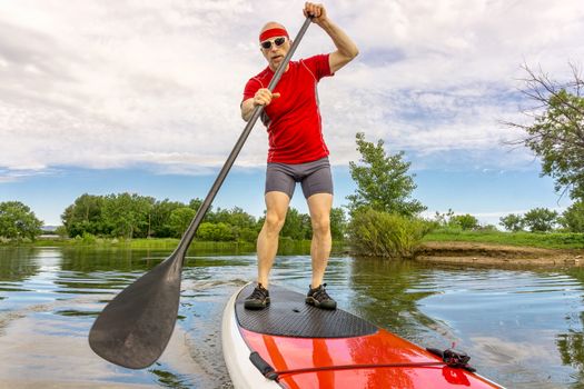 senior muscular male paddler enjoying paddling stand up paddleboard  on a local lake in Fort Collins, Colorado