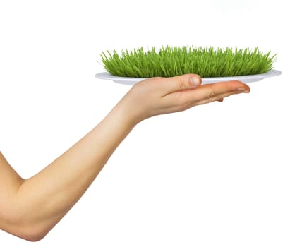 Humans hand holding plate with green grass on isolated white background