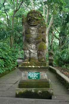 Padangtegal Monkey Forest, Wenara Wana, sacred sanctuary and touristic destination in Ubud, Bali, Indonesia