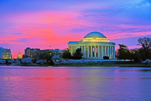 Sunrise at the Thomas Jefferson Memorial in Washington DC. The famous cherry trees are in full bloom.