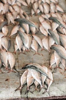 Line fish stacked in sixes on a table at the Stone Town Fish Market in Zanzibar.