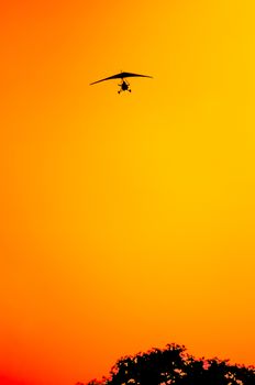 A micro lite plane comes in for a landing during sunset, over the tree tops, and is only visible as silhouette in red, orange and yellow sky.