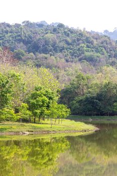 Landscape with a silent lake in forest