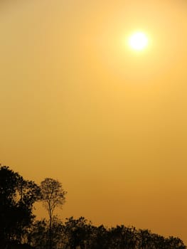 Landscape image with trees silhouette at sunset