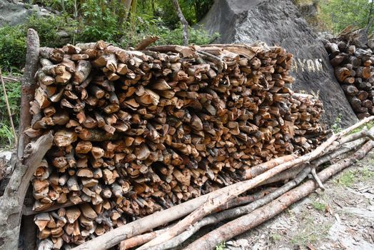 closed up the woodpile