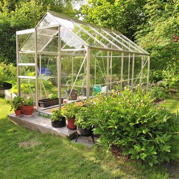 A green house full of flowers and plants.