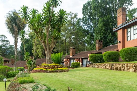 Tables set in a beautiful garden with gigantic trees in the the Mountains