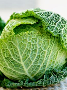 Green Leafy Texture Head of Savoy Cabbage closeup on Blurred background