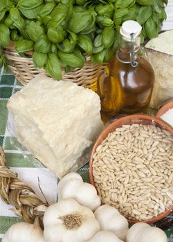 ingredients of genuine ligurian basil pesto