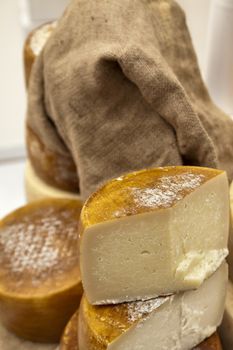 typical italian cheese  called caciotta or pecorino