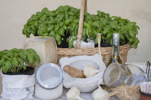 ingredients of genuine ligurian basil pesto, italy, original pesto genovese