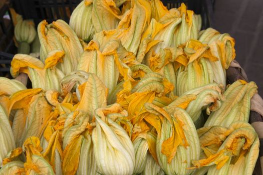 zucchini flowers, fiori di zucchini, freshly picked