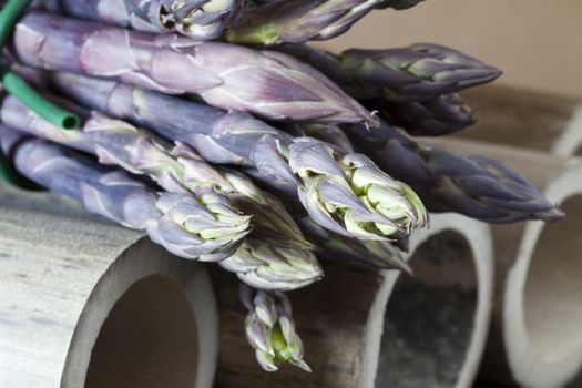 violet asparagus, vegetable typical of ligurian riviera