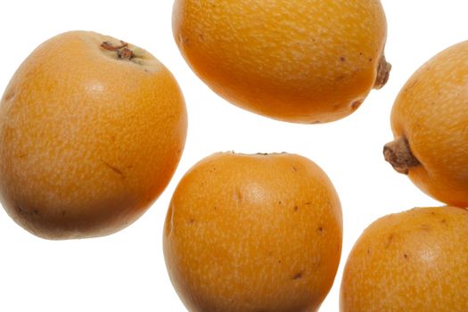 medlars on  white background