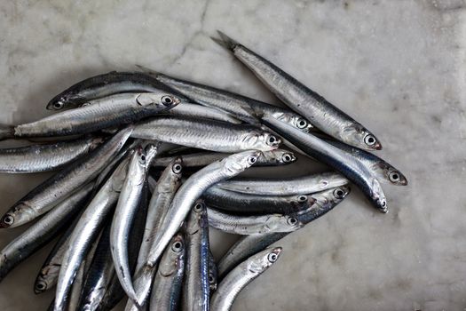 fresh anchovies on a marble top, backgroud of old marble