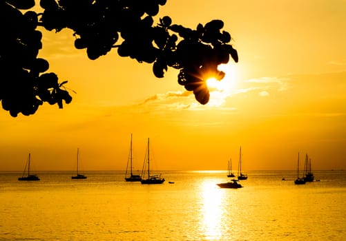 Silhouette with color of the sunset, Nai thon beach(Name thai),  Phuket Thailand