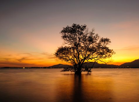 Seascape During Sunset,  Beautiful Natural Seascape, Klong Mudong Beach, Phuket Thailand