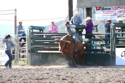 MERRITT, B.C. CANADA - May 30, 2015: Bull rider riding in the first round of The 3rd Annual Ty Pozzobon Invitational PBR Event.