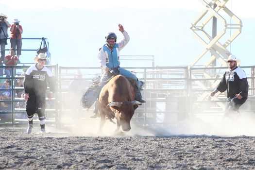 MERRITT, B.C. CANADA - May 30, 2015: Bull rider riding in the first round of The 3rd Annual Ty Pozzobon Invitational PBR Event.