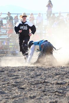 MERRITT, B.C. CANADA - May 30, 2015: Bull rider riding in the first round of The 3rd Annual Ty Pozzobon Invitational PBR Event.