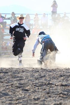 MERRITT, B.C. CANADA - May 30, 2015: Bull rider riding in the first round of The 3rd Annual Ty Pozzobon Invitational PBR Event.