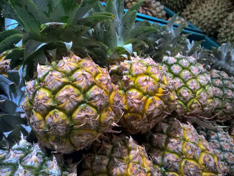 Pineapple for sale to everyone