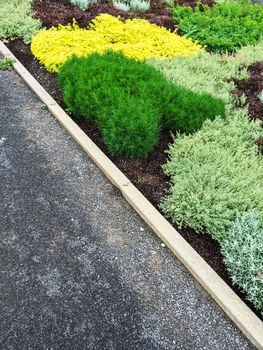 Detail of colorful summer garden and pathway.