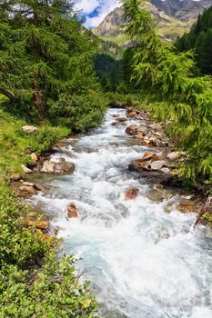 Mountain stream in Pejo Valley, Trentino, Italy