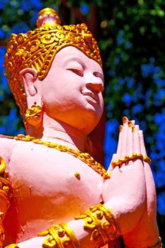 siddharta   in the temple bangkok asia   thailand abstract cross        step     wat  palaces   
