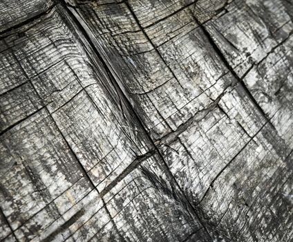 abstract background Old wood texture with cuts