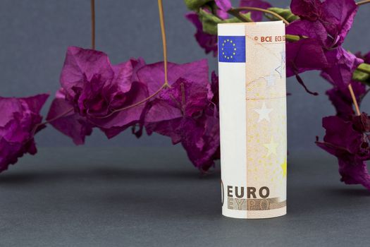 Dark pink, almost red, bougainvillea, a thorny ornamental vine, behind upright Euro currency reflects financial hopes in a troubled time for the eurozone. 