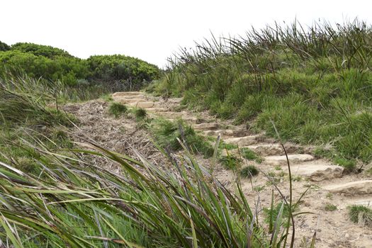 Steps leading to the famed Great Ocean Walk, a walking trail that shadows the Great Ocean Road in Victoria, Australia.  The walk traverses iconic locations like the Twelve Apostles, Cape Otway, and Otway National Park.  