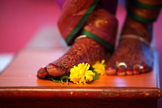 The feet of a traditional Indian bride decorated with Mehendi or Henna, standing near a flower on a wooden plank, as a part of a hindu wedding ritual.