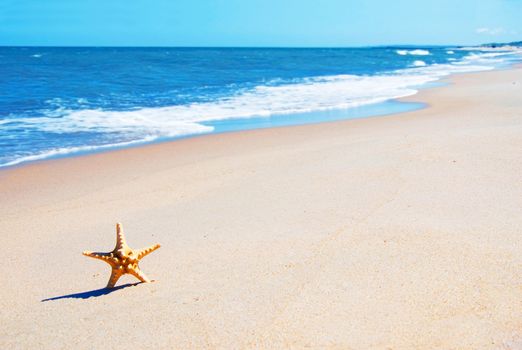 Starfish on the beach. Vacation conceptual image.