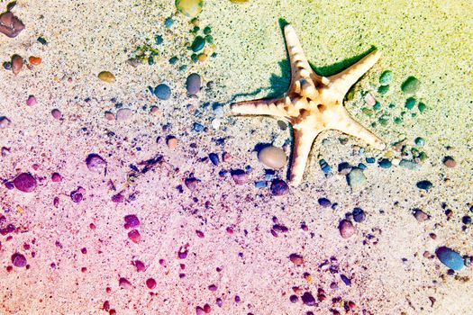 Colorfull starfish on the beach. Vacation conceptual image.