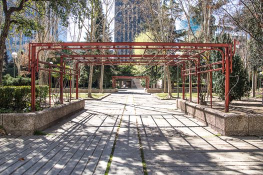 Asphalt urban park with modern buildings in the background