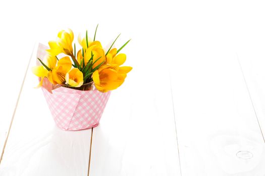 crocus flowers on white wooden background