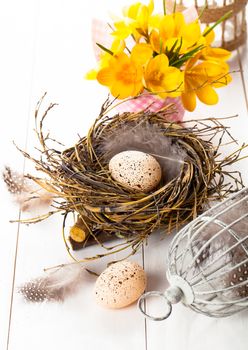 Easter eggs nest with birdcage and yellow Spring Crocus. on white wooden background