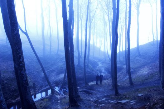 Nature. People in foggy dark forest.